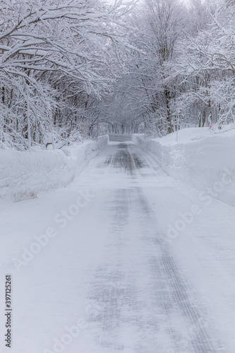 山の雪道