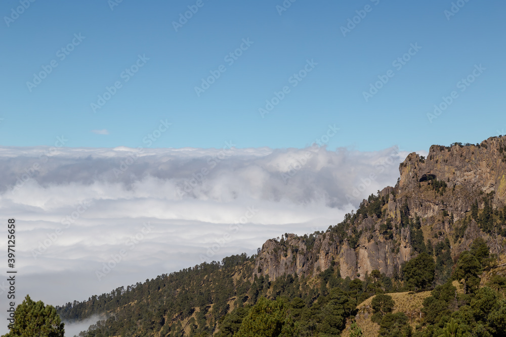 High angle shot of forest on hills covered with clouds