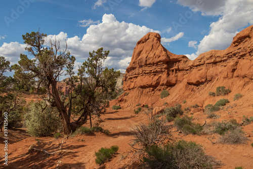 Kodachrome Basin State Park, Utah, USA