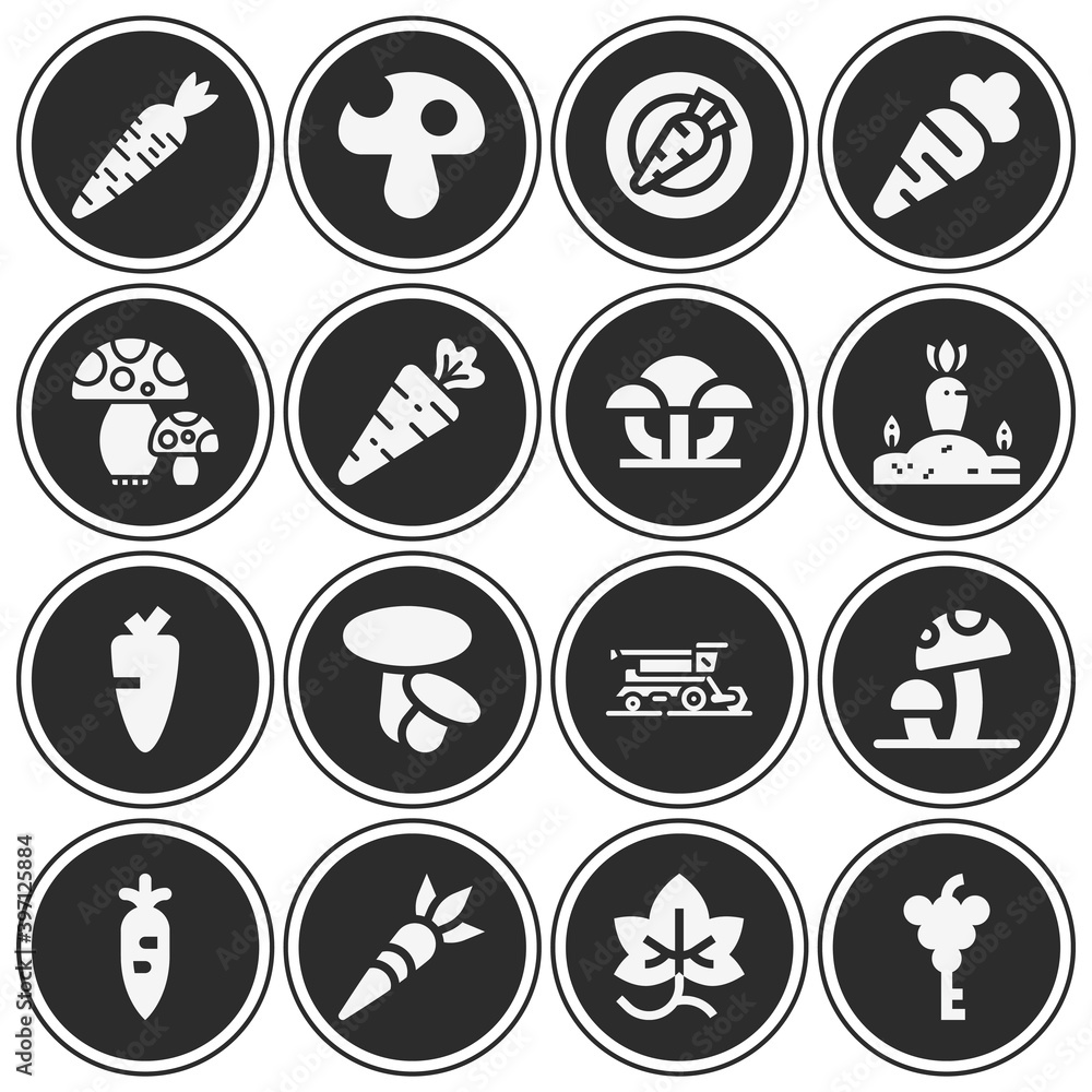 Fototapeta premium 16 pack of extracted filled web icons set