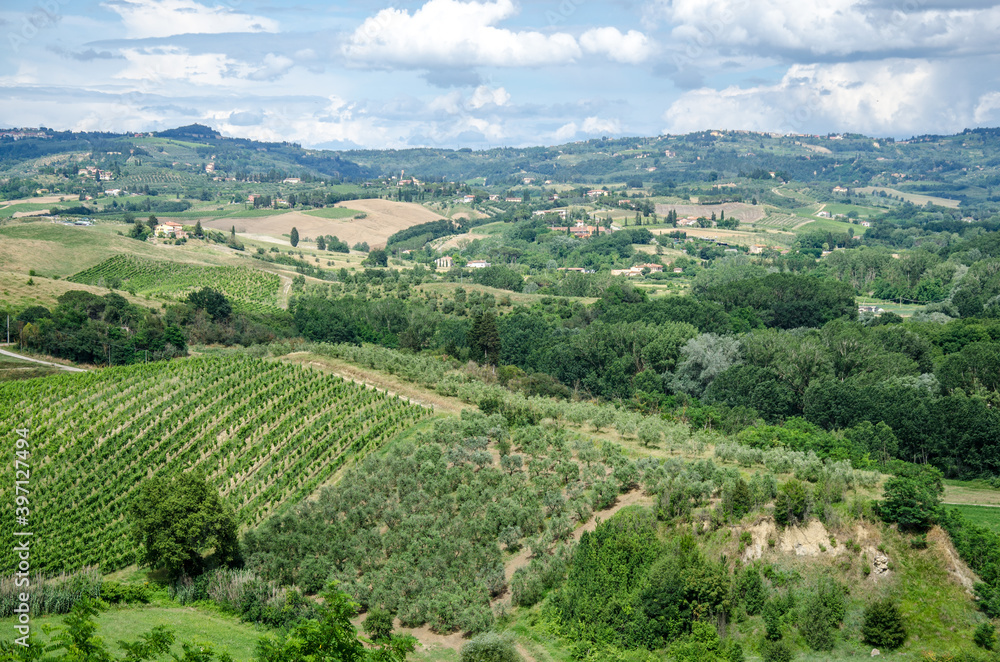 Tuscany landscape, agriculture, grape and olive fields Tuscany landscape, agriculture, grape and olive fields