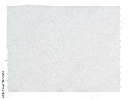 piece of toilet paper torn off isolated on white background