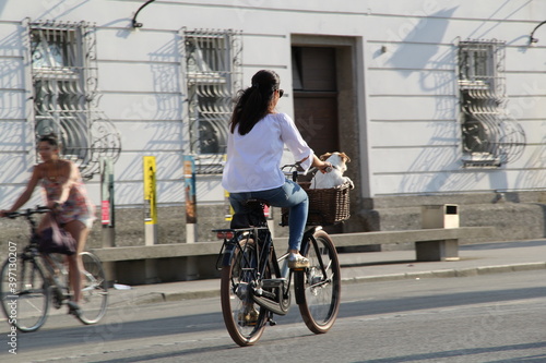 Fototapeta Naklejka Na Ścianę i Meble -  girl riding a bike with a dog in a basket