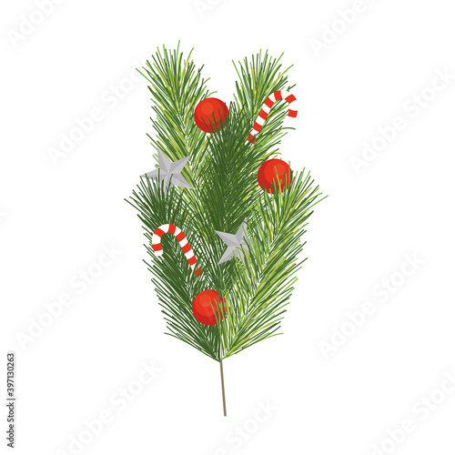 merry christmas pine lef with candies vector design