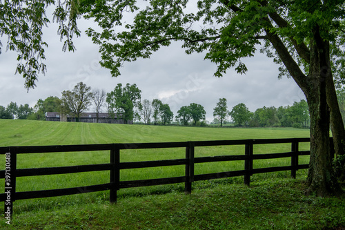Black Fence and Tree Guard The Edge of a Pasture