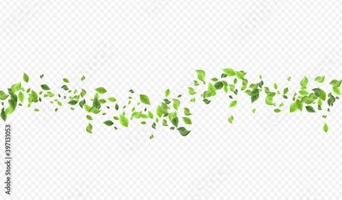 Mint Greenery Falling Vector Transparent 