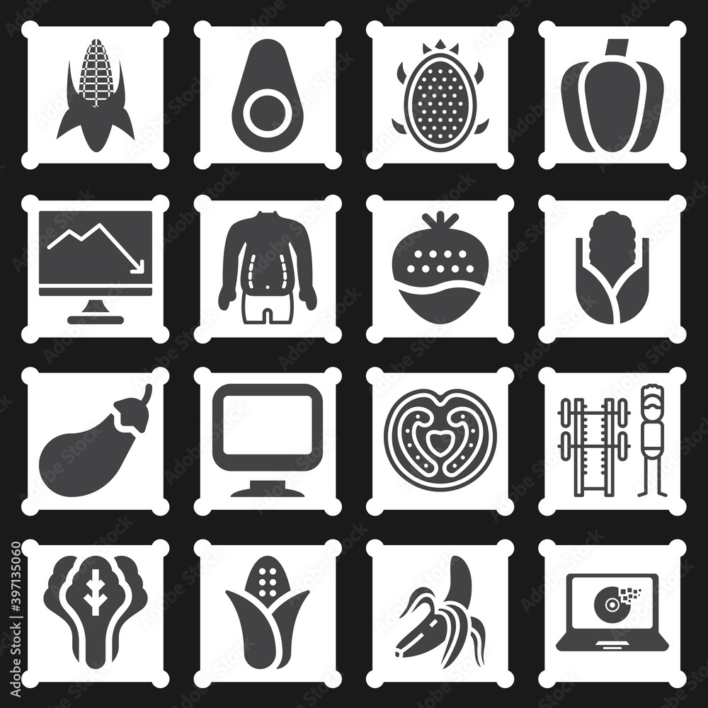 16 pack of fat  filled web icons set
