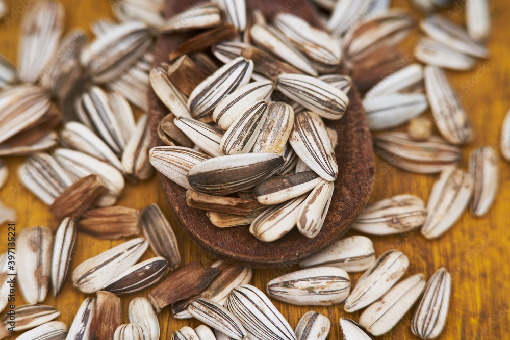 small sunflower seeds on a spoon small sunflower seeds on a spoon