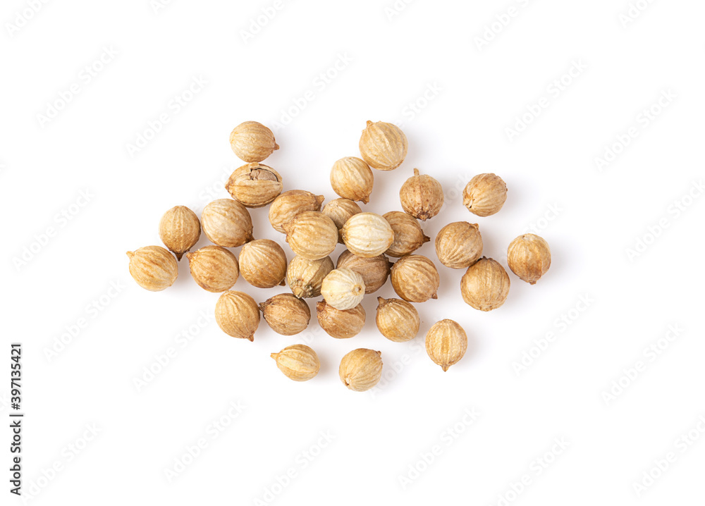 Coriander Seed isolated on white background Coriander Seed isolated on white background