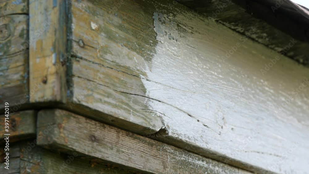 Spring preparation of a bee hive for the summer. Male beekeeper using special white paint and brush to paint wooden boards. Spring preparation of a bee hive for the summer. Male beekeeper using special white paint and brush to paint wooden boards.