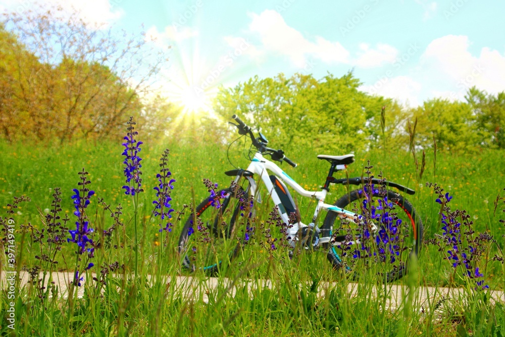 Naklejka premium Radtouren mit dem E-Bike