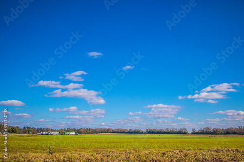Blue sky and farm land with power lines in the Fall