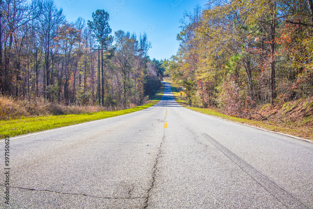 Fototapeta premium Long road and mossy trees in the country during the Fall