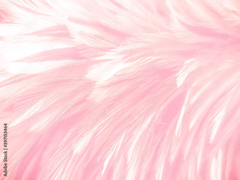 Chronisch Het Draaien Prachtige abstracte licht roze veren op witte achtergrond, witte veren  frame textuur op roze patroon en roze achtergrond, liefde thema behang en  Valentijnsdag #397153464 - Canvas voor buiten