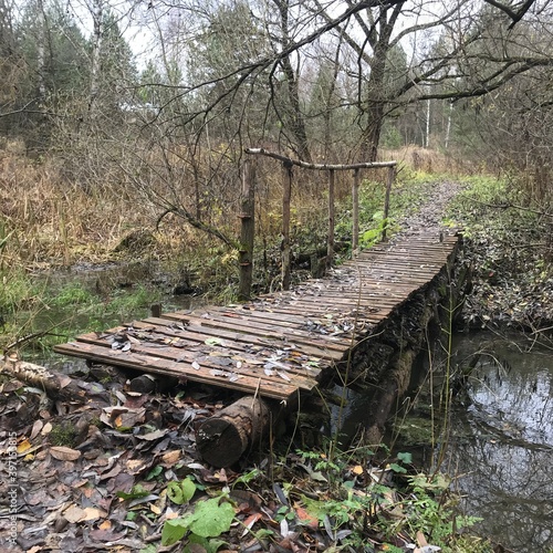 bridge