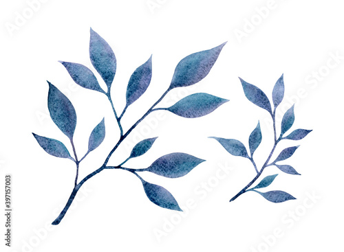 Two branches with mystery blue leaves isolated on a white background. Hand drawn illustration. Watercolor granulation effect. Abstract floral decorative elements photo
