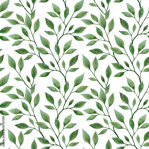 Green foliage on white background. Seamless pattern of hand painted watercolor leaves. Romantic fabric texture, minimal wrapping paper design. Delicate wallpaper, natural organic theme