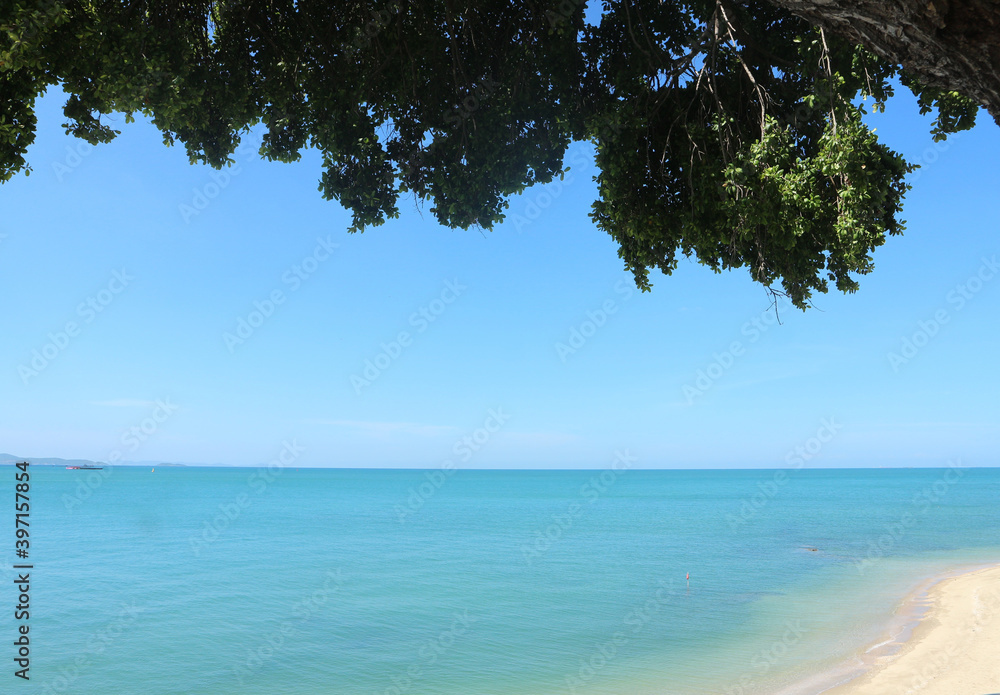 Sea view with beach at the bottom right and leaves from a big tree at the top Sea view with beach at the bottom right and leaves from a big tree at the top