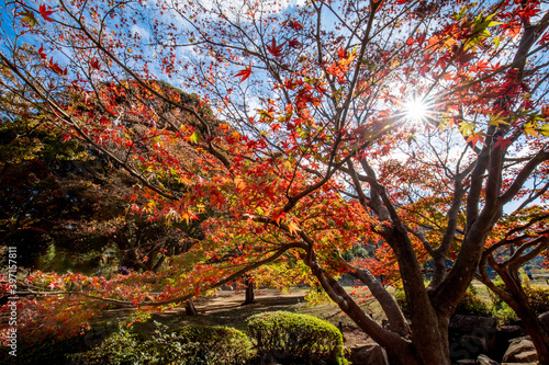 日本の秋の風景 © F.Mikami