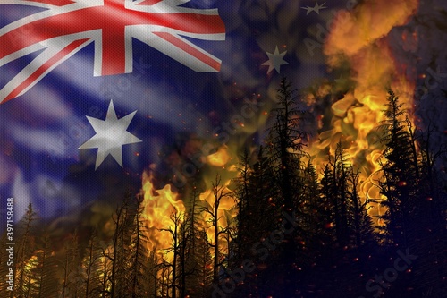Forest fire fight concept, natural disaster - heavy fire in the woods on Australia flag background - 3D illustration of nature