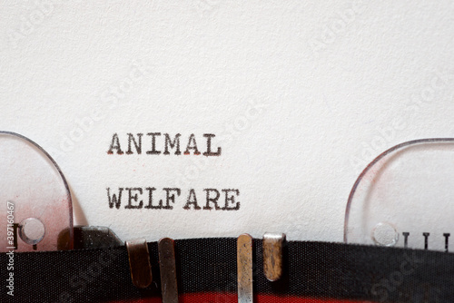 Animal welfare phrase