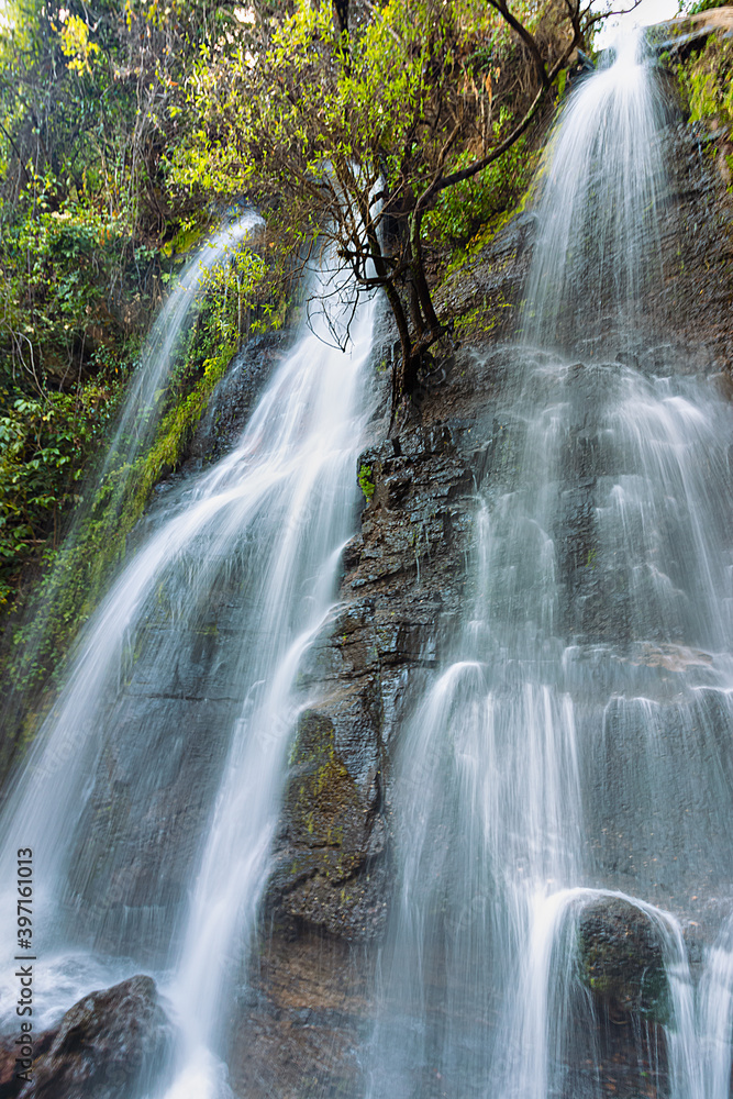 Obraz premium CASCADA BOSQUE AGUA 
