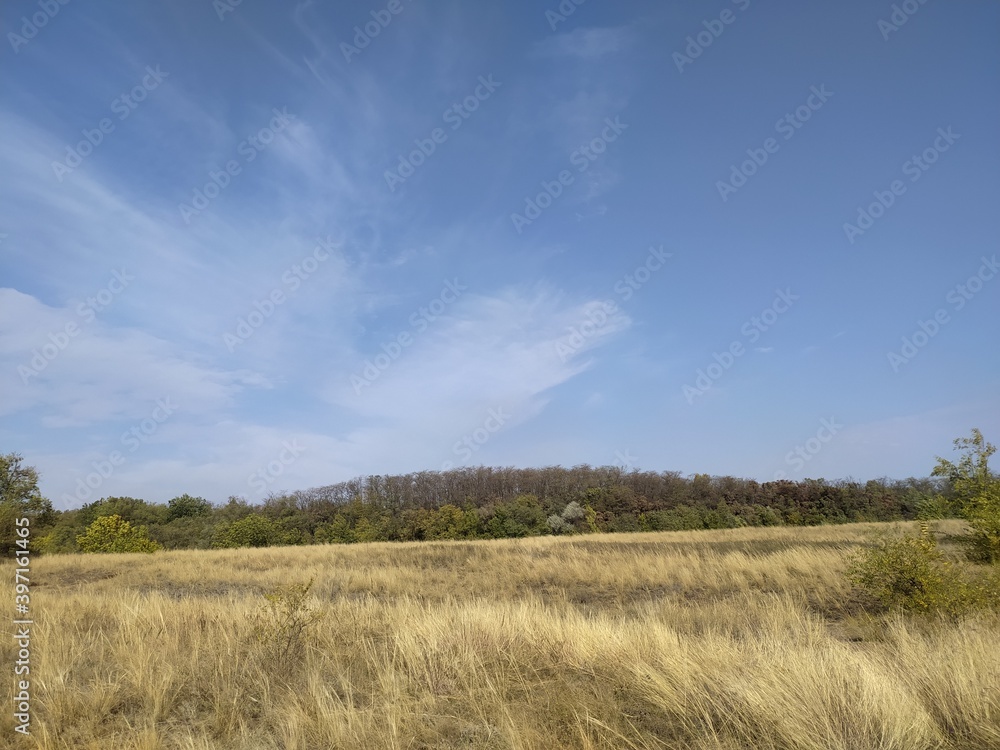 field and sky