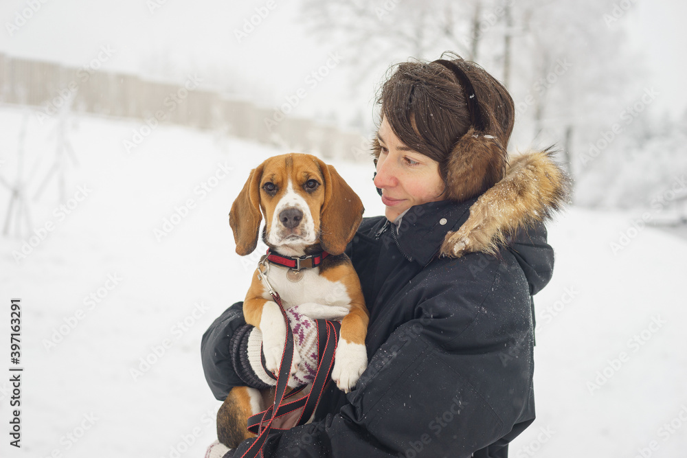 beautiful girl with short hair is walking on a warm winter day with her pet beagle puppy