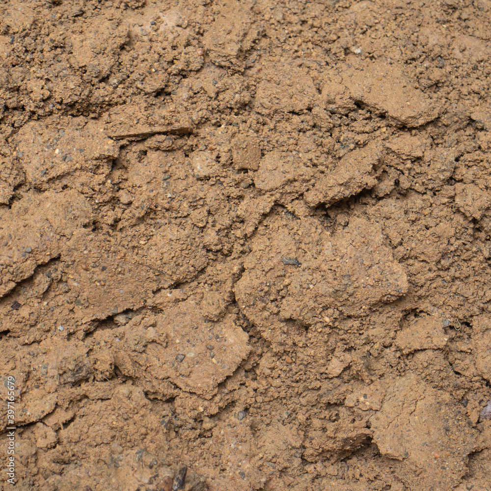 soil on the ground as texture and background. soil on the ground as texture and background.