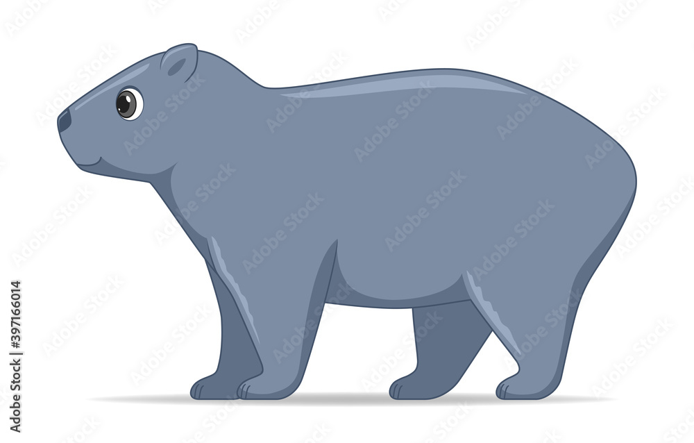 Wombat animal standing on a white background Wombat animal standing on a white background