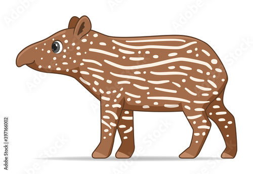 South American tapir animal standing on a white background
