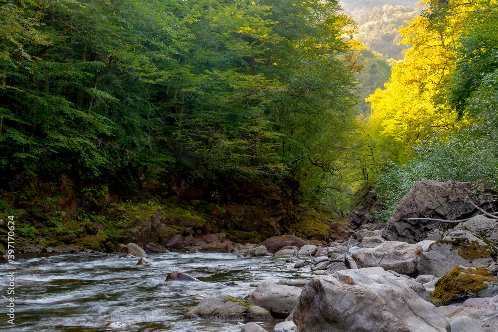 Mountain river in forest. Water on a stones Mountain river in forest. Water on a stones