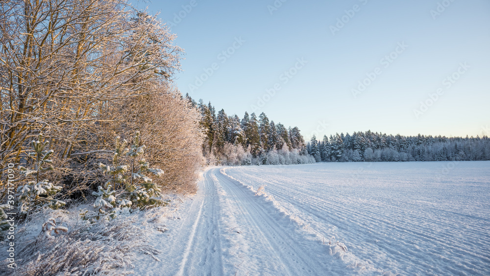 A beautiful, calm winter landscape in the rural area of Latvia, northern Europe. Snow covered nature scenery. A beautiful, calm winter landscape in the rural area of Latvia, northern Europe. Snow covered nature scenery.