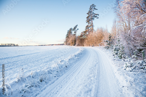 A beautiful, calm winter landscape in the rural area of Latvia, northern Europe. Snow covered nature scenery. © dachux21