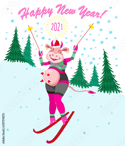 Cartoon cow goes skiing slalom between fir trees from the mountain. Humorous winter vacation tee shirt print with blue snowflakes and Chinese 2021 New Year holidays post card, party invitation