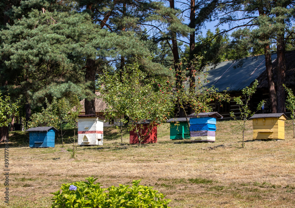 An apiary with old wooden hives in a rural garden An apiary with old wooden hives in a rural garden