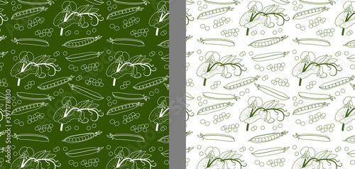 2 motifs sur le thème des petits pois - dessin au trait de branches, de fleurs et de cosses de petits pois - 1 au tracé blanc sur fond vert et 1 au tracé vert sur fond Blanc.