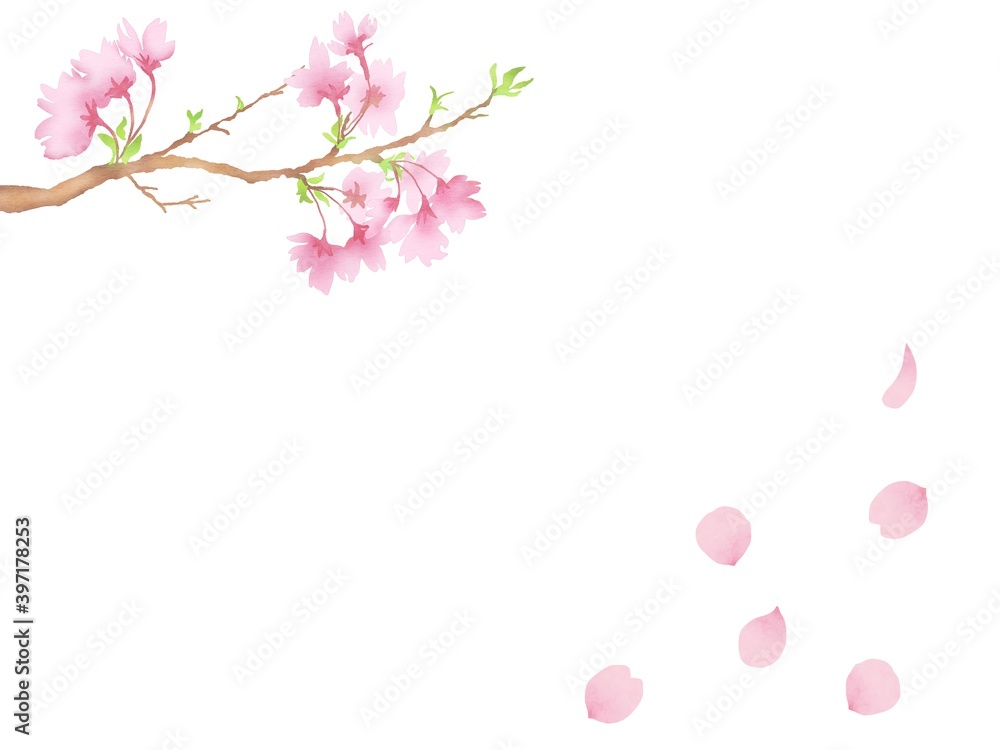 桜の枝と花びら
