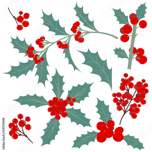 Set of hand drawn Holly elements isolated on white background. Flat design. Botanical illustration collection. Christmas and Happy New Year Theme.