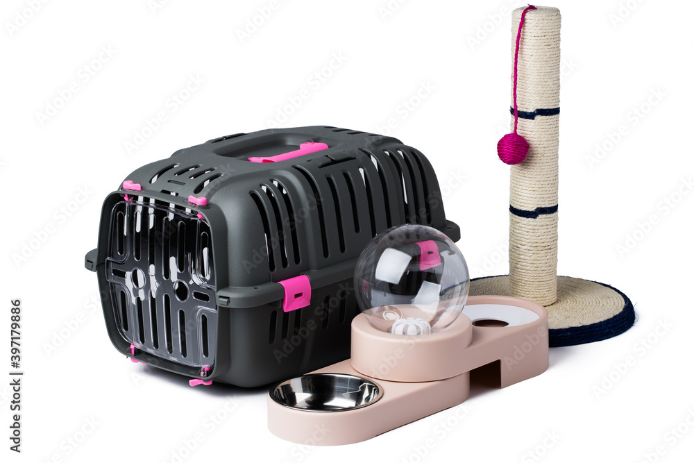 Set of pet supplies for kitty cat isolated on white Set of pet supplies for kitty cat isolated on white