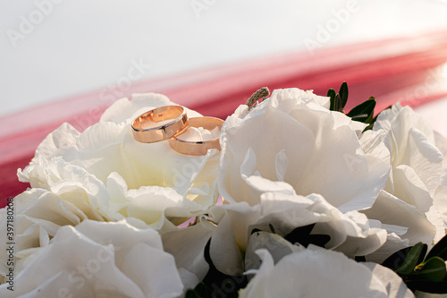 Rings of the bride and groom on a beautiful light white rose flower on the wedding day. Wedding traditions.