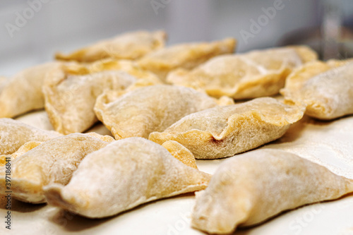 raw dumplings lie on the cutting Board