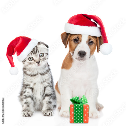 Jack russell terrier puppy and tabby kitten wearing red christmas hats sit together with gift box. isolated on white background