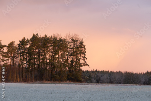 A beautiful early winter scenery in Northern Europe. Morning landscape of first snow. Rural scenery with trees in snow.