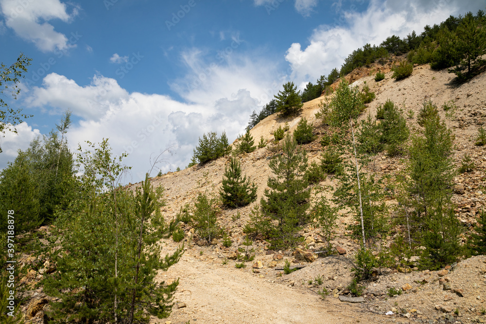 Fototapeta premium Apuseni mountains on summertime
