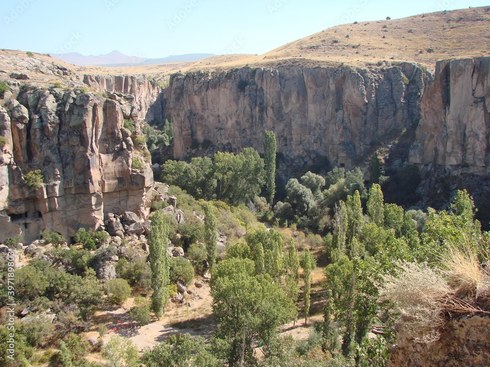 Landscape of dense vegetation on stony ground at the foot of the impregnable rocks of the canyon under the rays of the autumn sun. Landscape of dense vegetation on stony ground at the foot of the impregnable rocks of the canyon under the rays of the autumn sun.