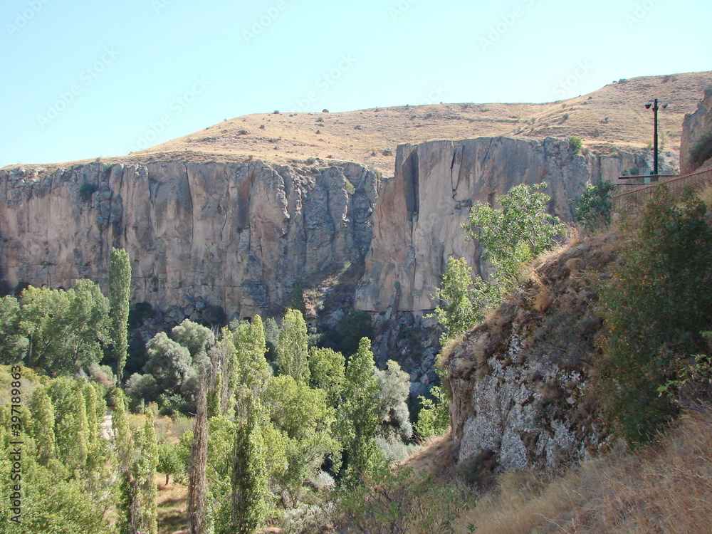 Top view of the gorge of the canyon abundantly covered with tall green trees on both banks of a steep mountain river.