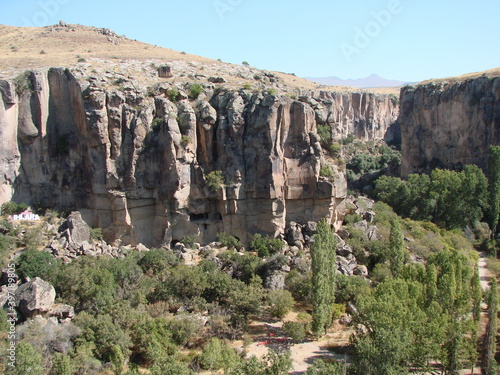 Landscape of dense vegetation on stony ground at the foot of the impregnable rocks of the canyon under the rays of the autumn sun.