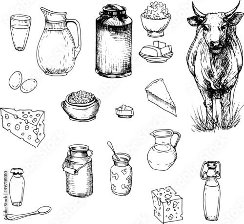 Milk, dairy products, cheese, cow, eggs. Farm, agriculture, village. Graphic illustration hand-drawn, doodle illustration. Isolated elements on a white background, sketch, engraving
