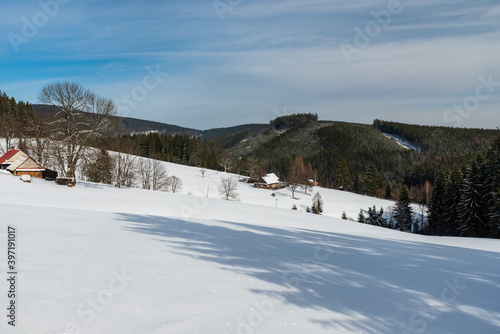 Winter scenery with snow covered meadows  isolated houses  trees and hills on the background